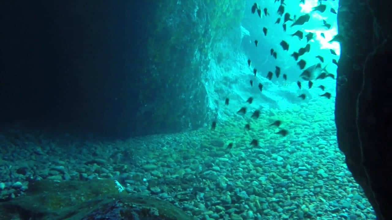 Fish and Snorkel at The Caves on Norman Island in the BVI