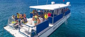 Best Snorkeling charter in the USVI, Ocean Safari Charters