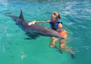 Visitor wearing a life jacket touching a dolphin at the water's surface.