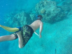 Snorkeling down to the corals at The Aquarium Virgin Gorda BVI